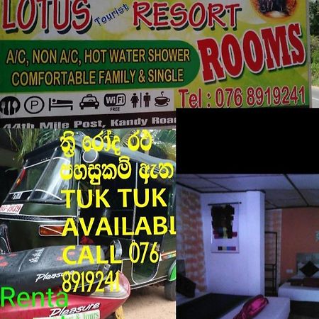 Lotus Inn Tourist Resort Dambulla Exteriör bild