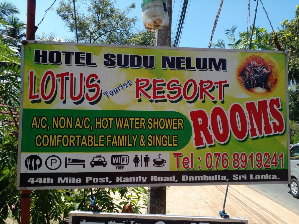 Lotus Inn Tourist Resort Dambulla Exteriör bild
