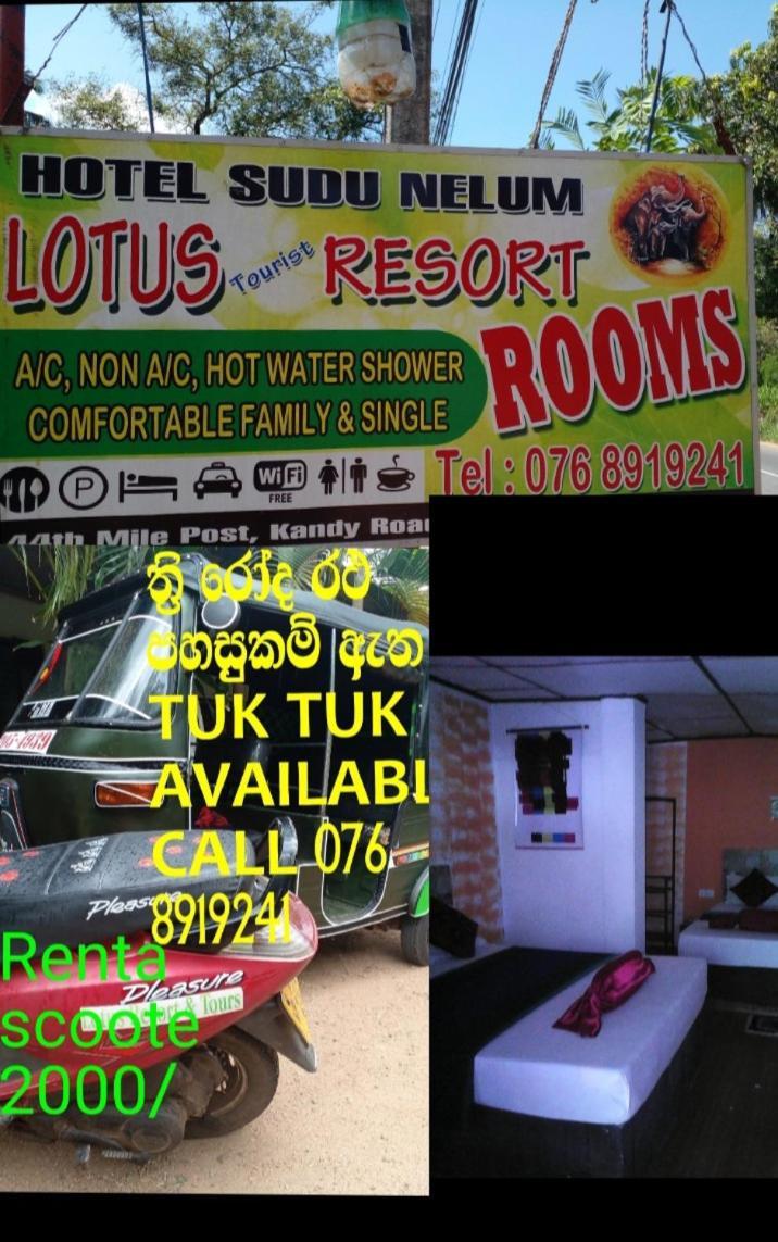 Lotus Inn Tourist Resort Dambulla Exteriör bild