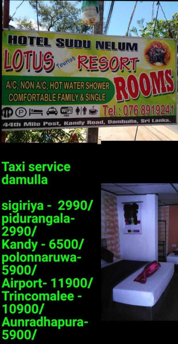 Lotus Inn Tourist Resort Dambulla Exteriör bild