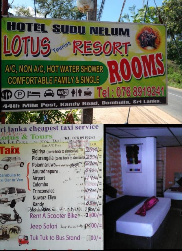 Lotus Inn Tourist Resort Dambulla Exteriör bild