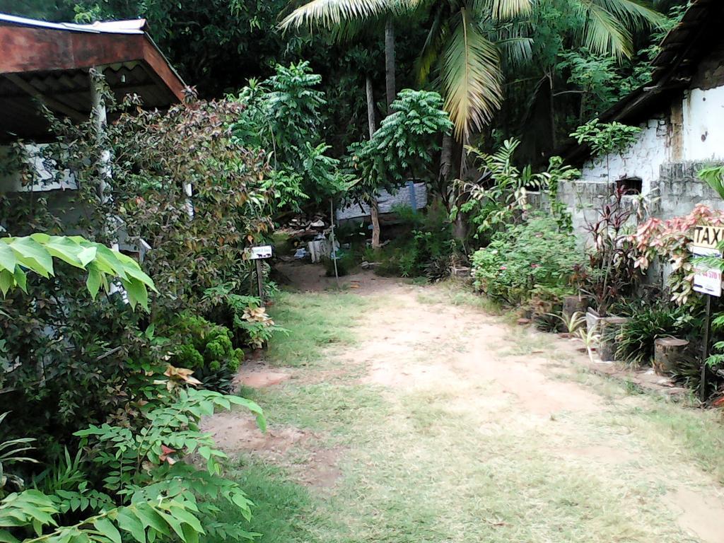 Lotus Inn Tourist Resort Dambulla Exteriör bild