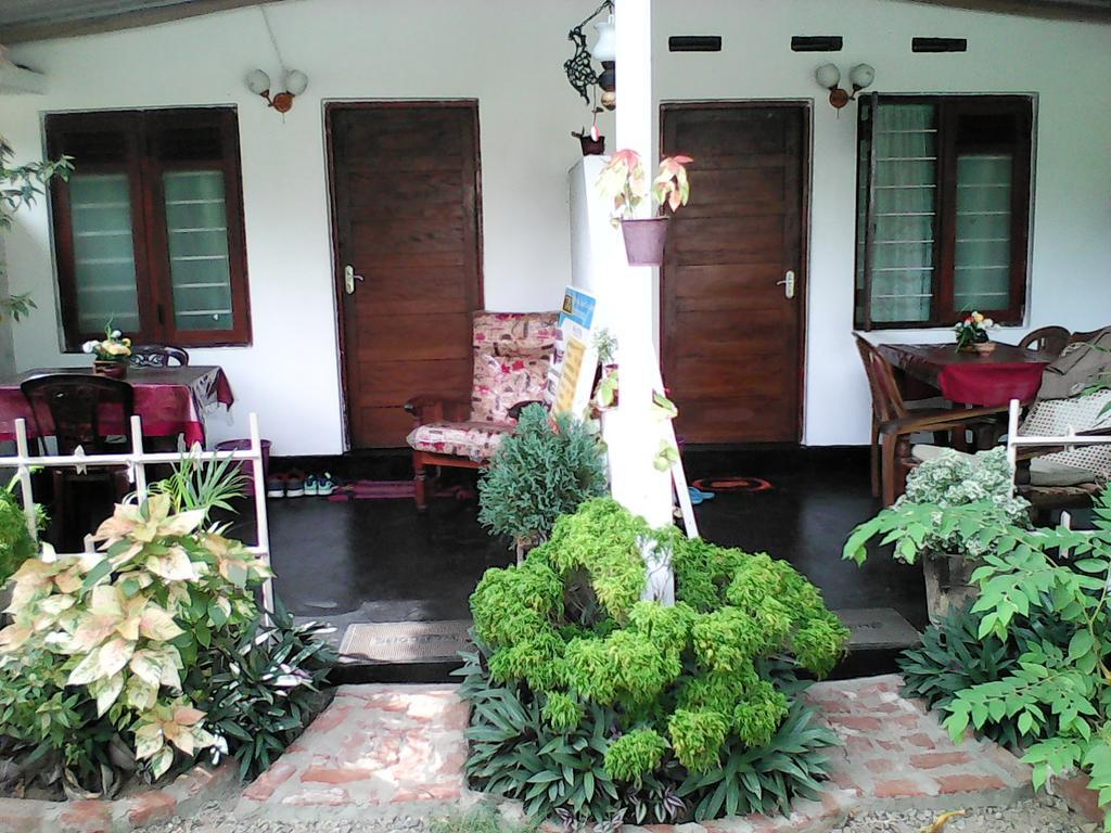 Lotus Inn Tourist Resort Dambulla Exteriör bild