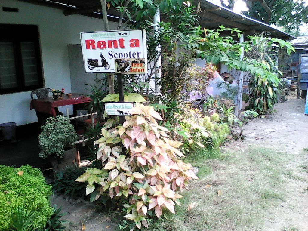Lotus Inn Tourist Resort Dambulla Exteriör bild