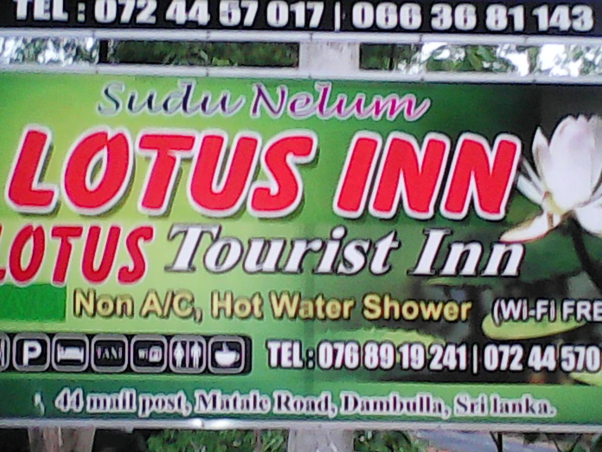 Lotus Inn Tourist Resort Dambulla Exteriör bild