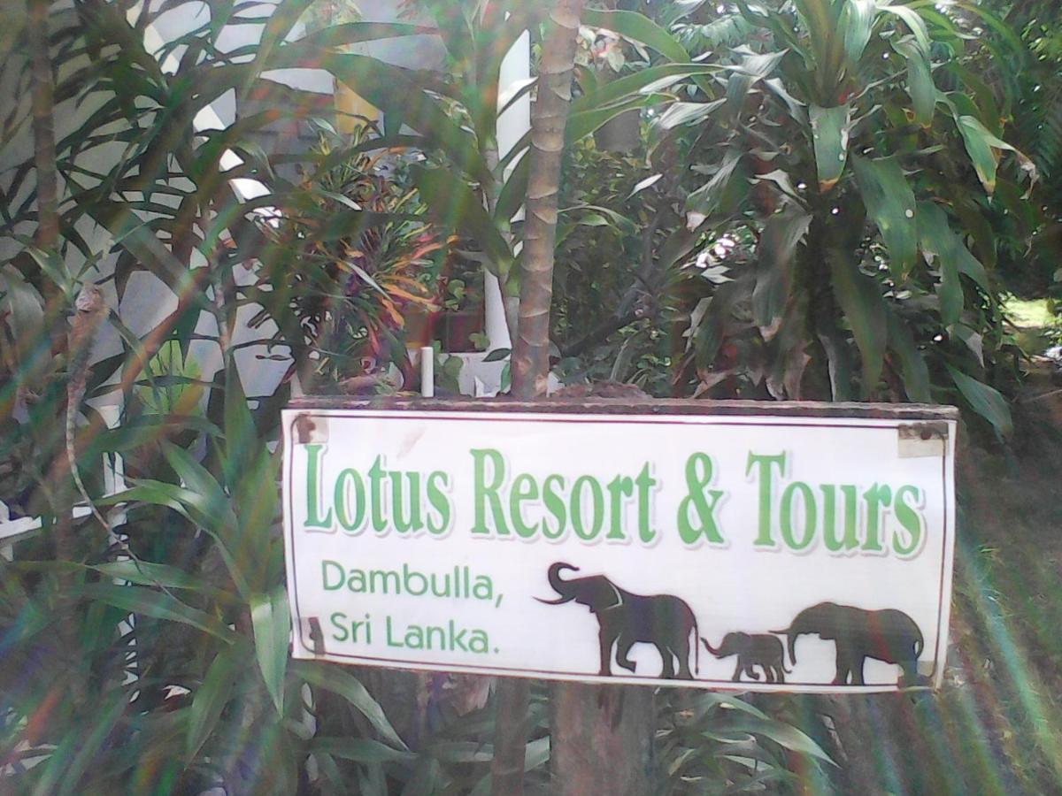 Lotus Inn Tourist Resort Dambulla Exteriör bild