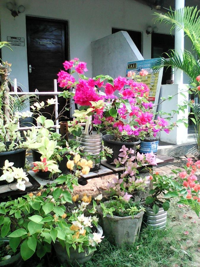 Lotus Inn Tourist Resort Dambulla Exteriör bild