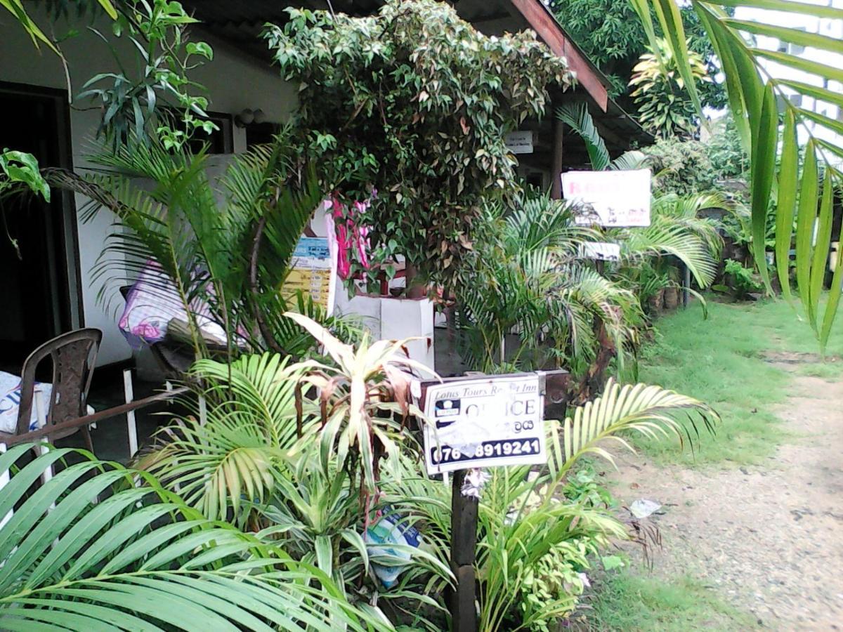 Lotus Inn Tourist Resort Dambulla Exteriör bild