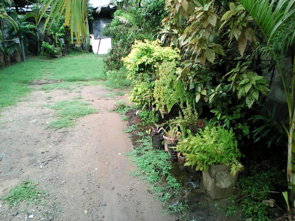 Lotus Inn Tourist Resort Dambulla Exteriör bild